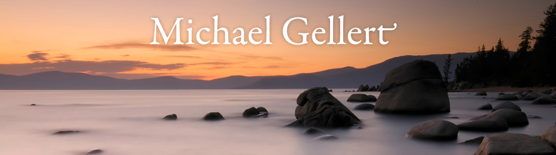 Michael Gellert